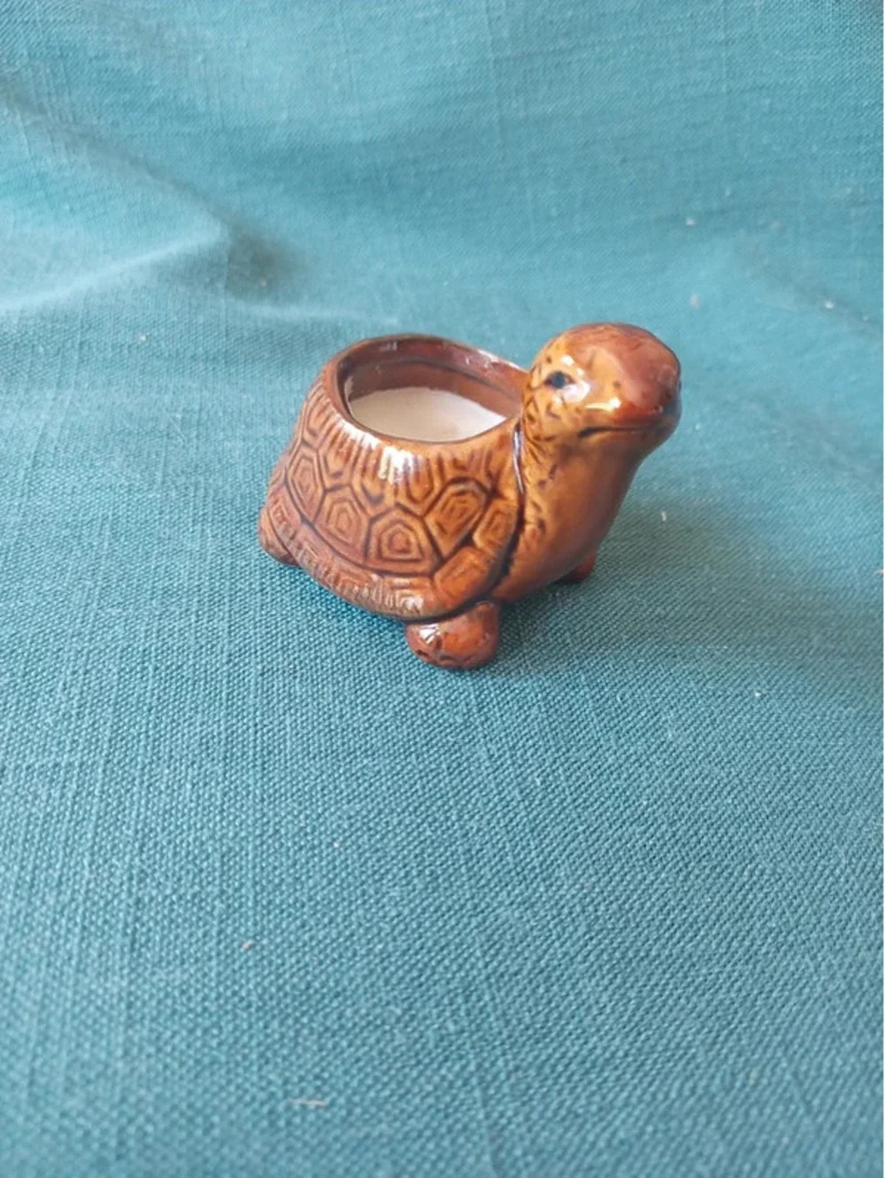 Turtle candle holder